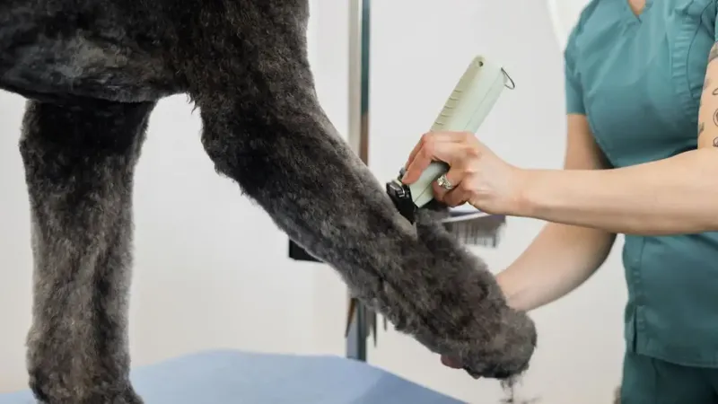 WAHL KMC+ Cordless - Obrázek 5